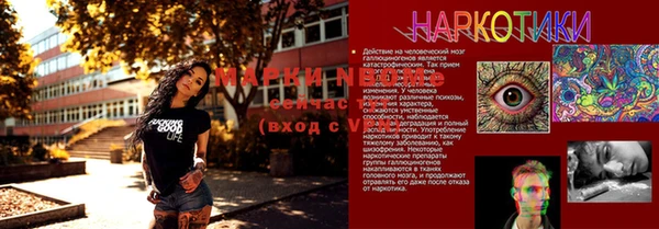 эйфоретик Алзамай
