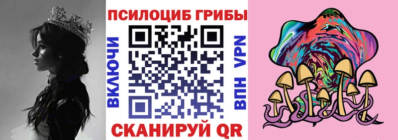 наркотики  Суджа  сайты даркнета как зайти  Псилоцибиновые грибы Psilocybine cubensis  KRAKEN ТОР 